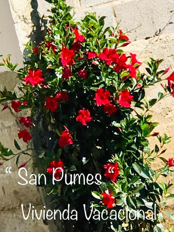 Holiday home San Pumes